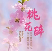 桃花醉SPA会馆桃花醉SPA会馆