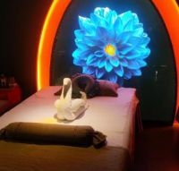 慧然龙筋工作室